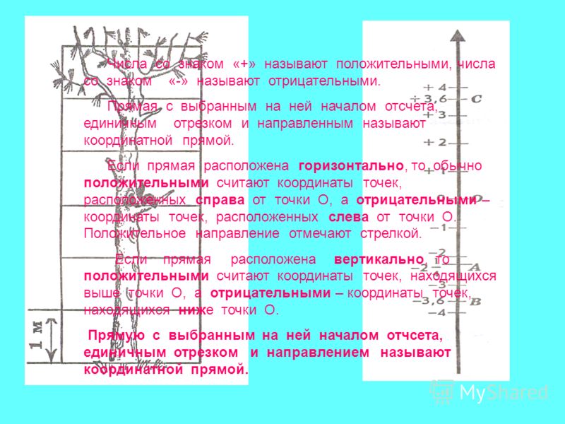Бланк Бо 13 02 Бланк Бо 13 02