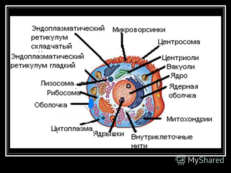 Схема для вышивки японские мотивы Схема для вышивки японские мотивы