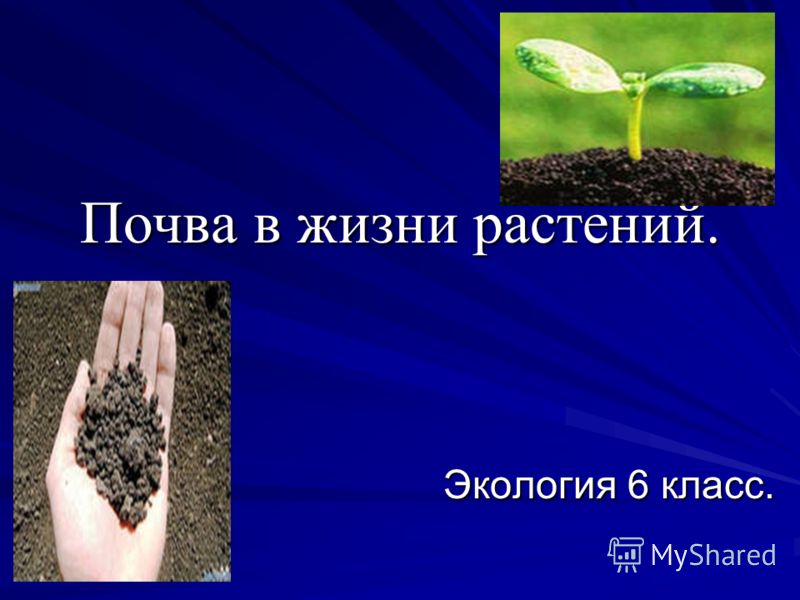 Физкультура начальные классы планирование с пояснительной запиской