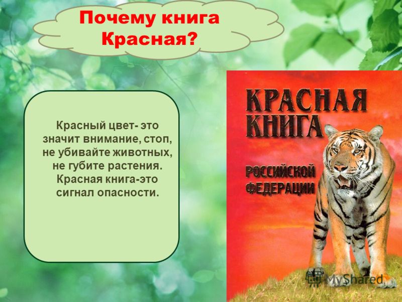 Поздравление для новорожденного брата Поздравление для новорожденного брата