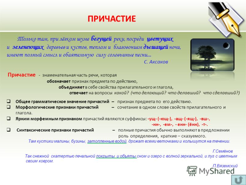 Какие эпитеты можно подобрать к слову "цветок"? - Полезная информация Какие эпитеты можно подобрать к слову "цветок"?