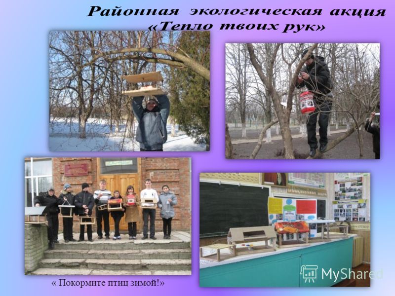 Программа львова русский язык 5 класс