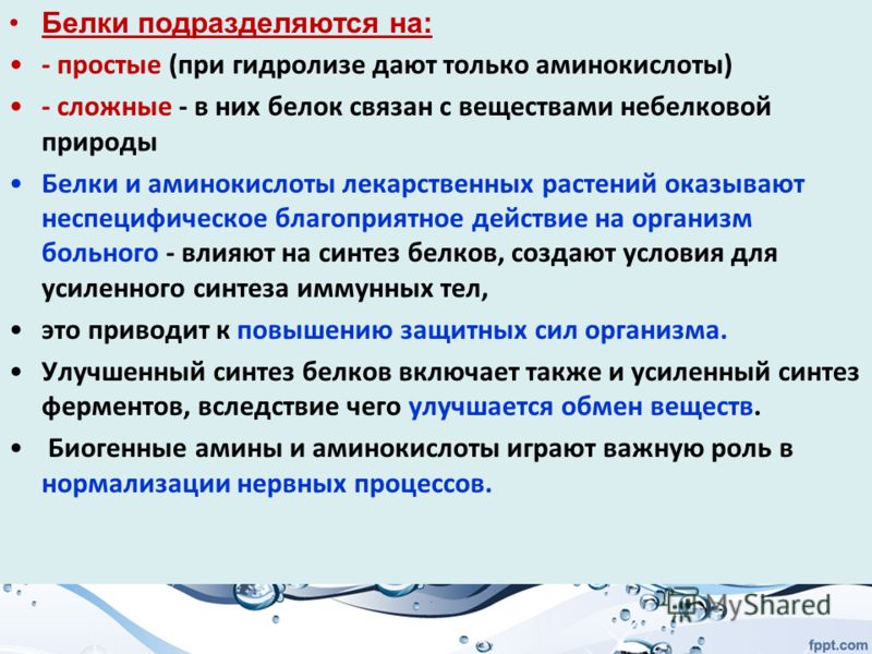 Белки подразделяются на простые при Белки подразделяются на простые при