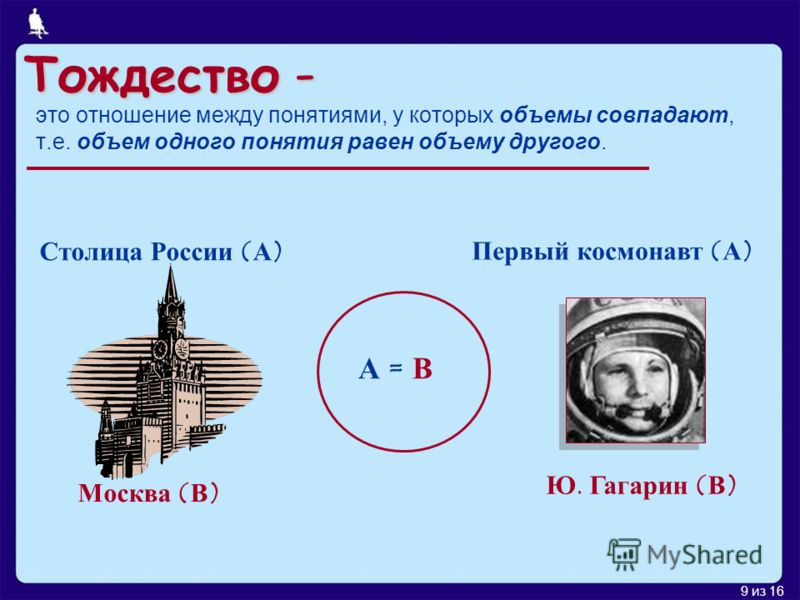 Уход за гортензией весной на даче Уход за гортензией весной на даче