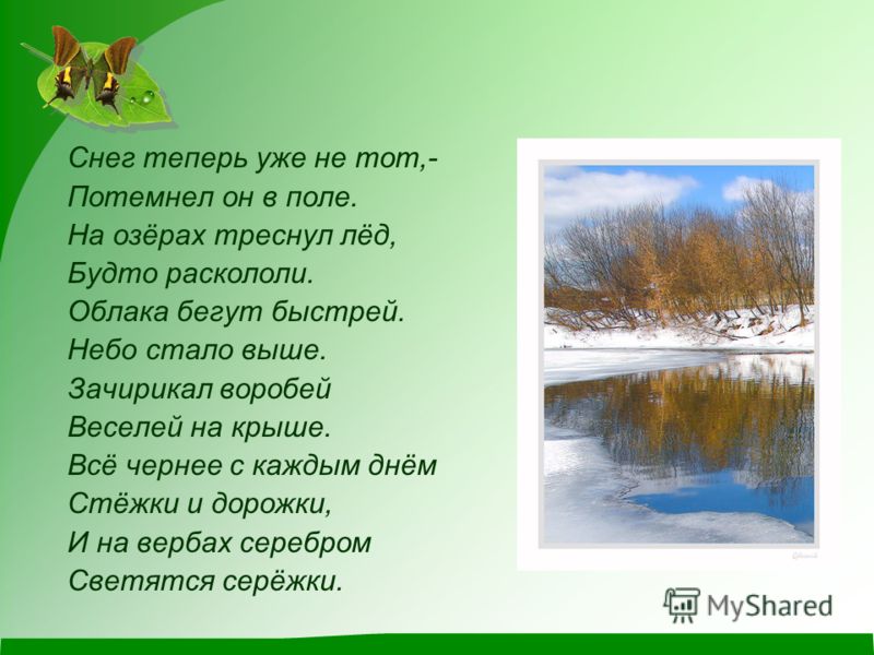 Весна Пробуждение Природы Презентация Весна Пробуждение Природы Презентация