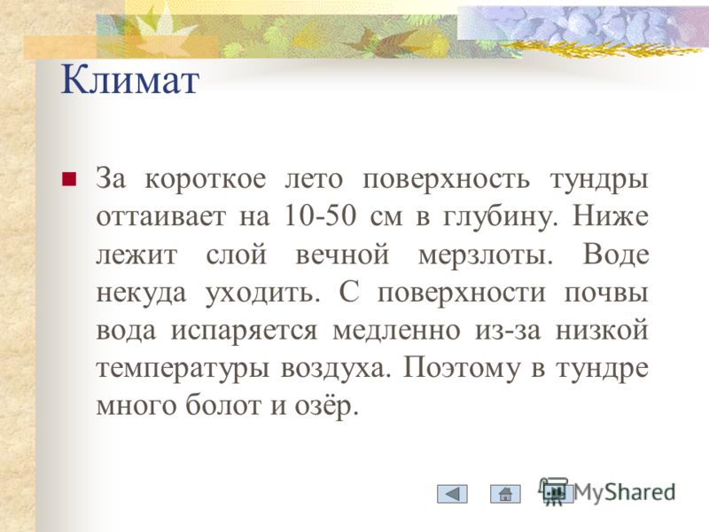 Заготовка грибов обабков на зиму рецепты