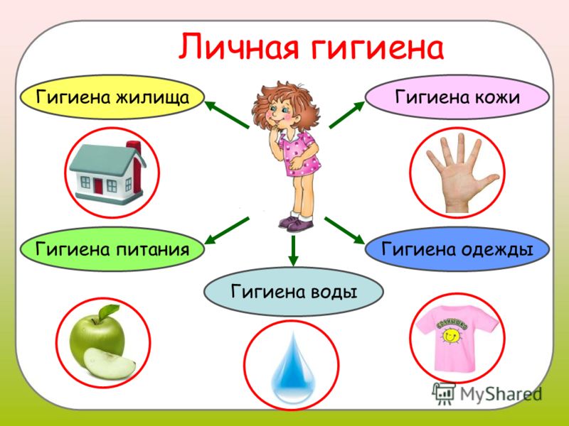 Анатомия гольф-поля: ти - ЕНГО