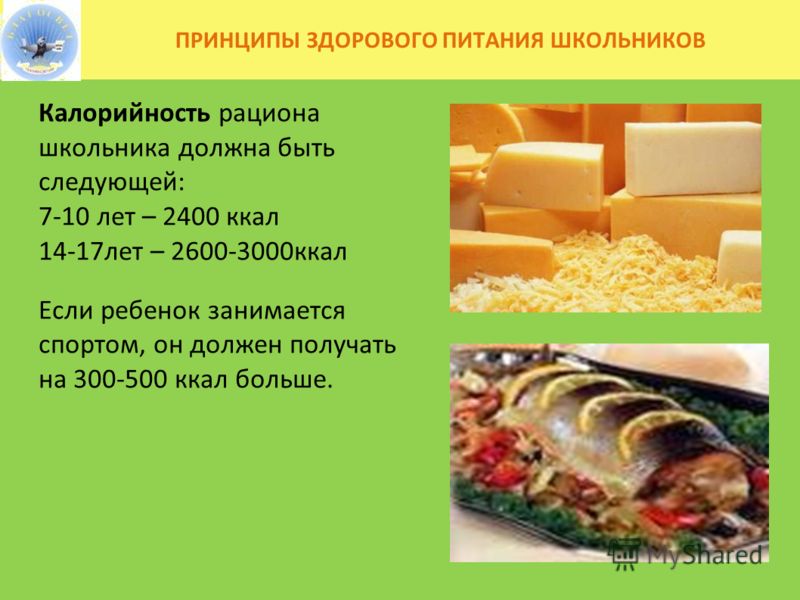 скачать меню правильное питание для похудения скачать меню правильное питание для похудения