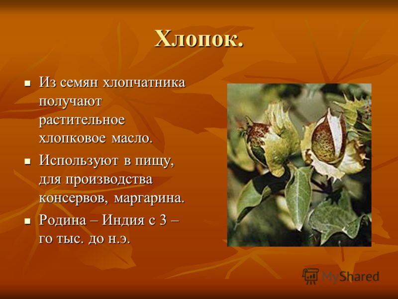 Презентация На Тему Физиология Питания 6 Класс Презентация На Тему Физиология Питания 6 Класс