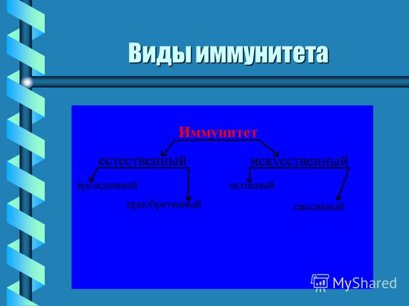 Виды иммунитета