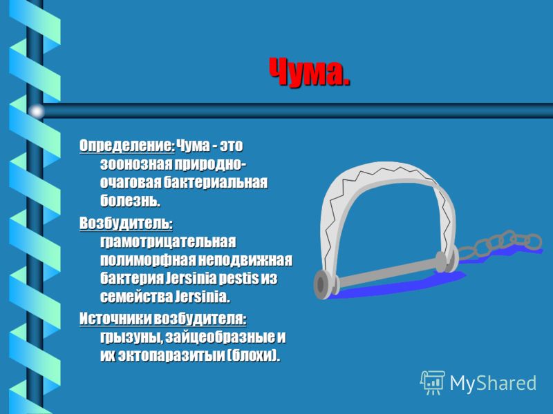 Чума. Определение: Чума - это зоонозная природно- очаговая бактериальная болезнь. Возбудитель: грамотрицательная полиморфная неподвижная бактерия Jers