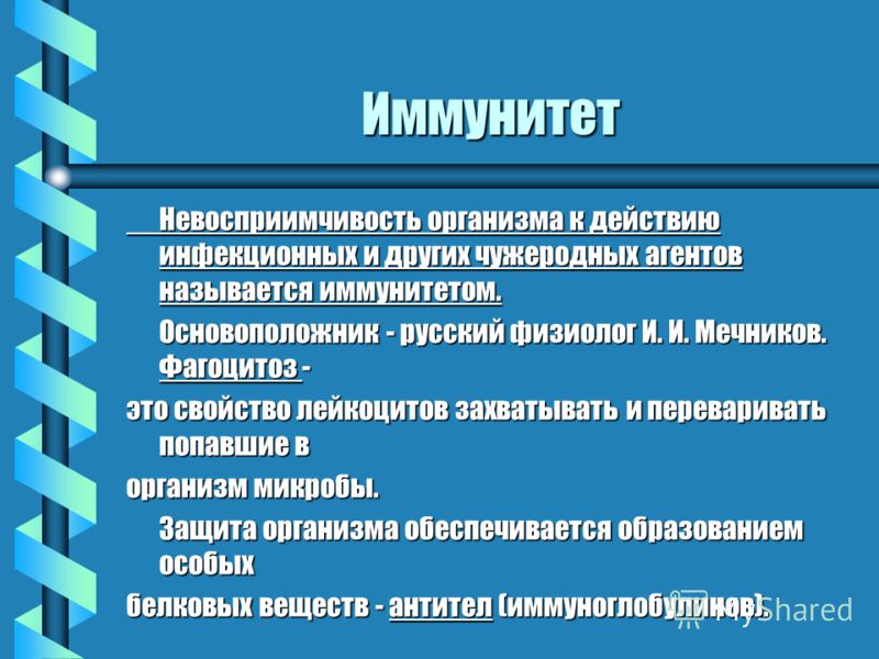 Иммунитет Невосприимчивость организма к действию инфекционных и других чужеродных агентов называется иммунитетом. Основоположник - русский физиолог И.