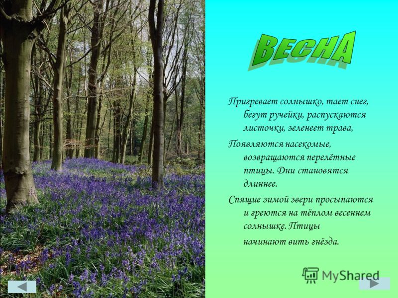 Погода в иланский на месяц