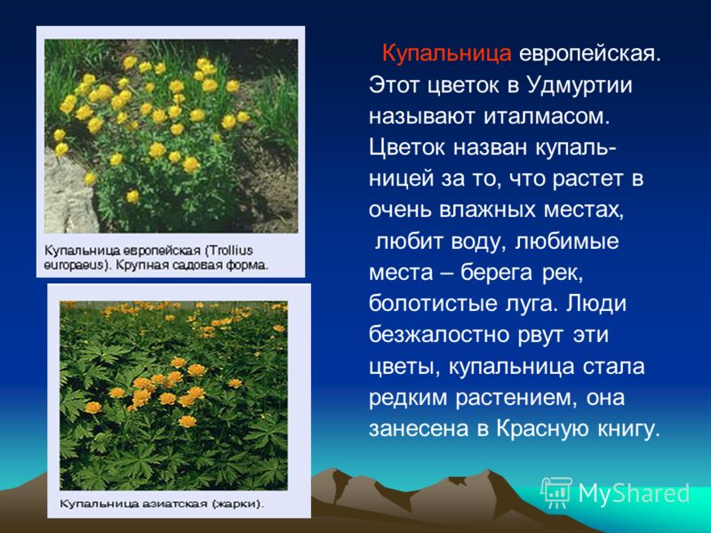 Что символизирует красный цвет Что символизирует красный цвет