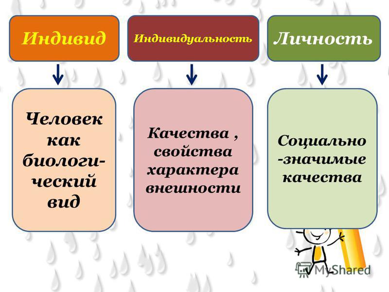 book phytopharmaceuticals in cancer chemoprevention