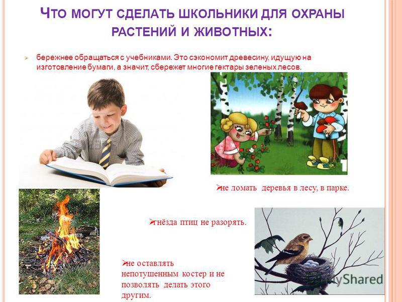 Мальчик краше цветов цитаты Мальчик краше цветов цитаты