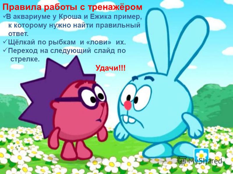 ежик и крош картинки онлайн ежик и крош картинки