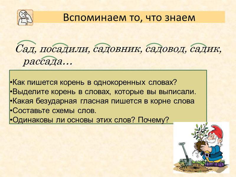 Состав слова по составу рассада Состав слова по составу рассада