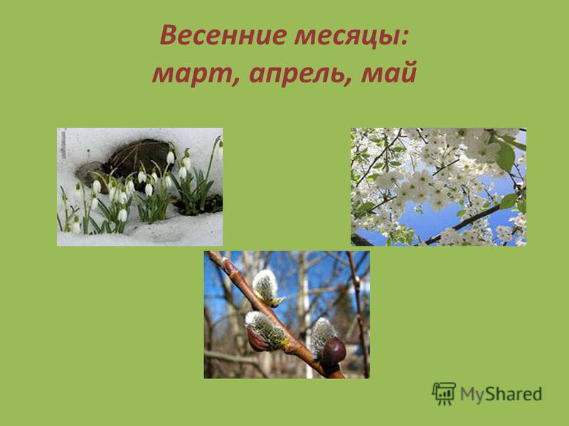 Весенние месяцы: март, апрель, май