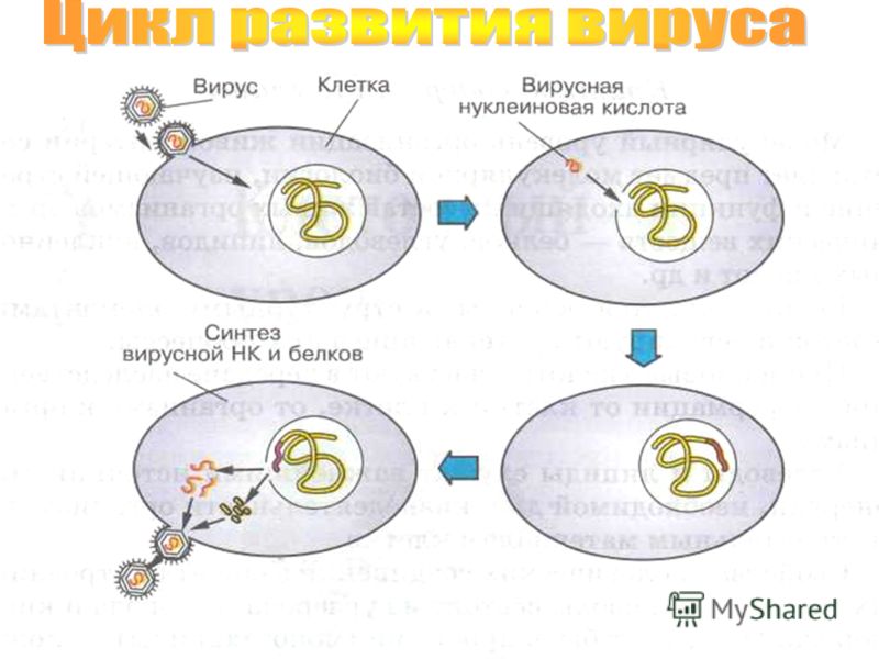 Календарно тематическое планирование по немецкому языку 3 класс бим