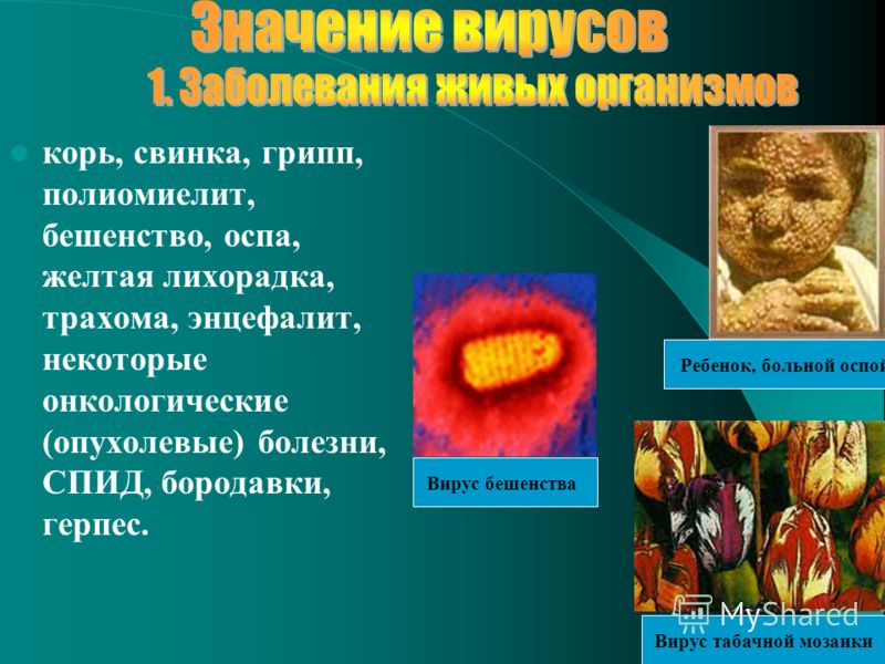 Решебник физика 9 класс