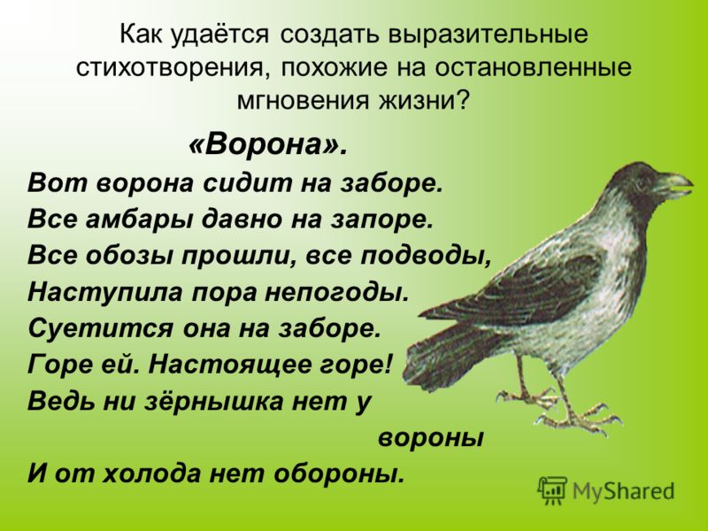 стихотворение рубцова тихая моя родина слушать стихотворение рубцова тихая моя родина слушать