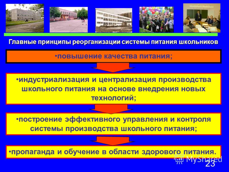 Сколько по времени готовить куриные крылышки в микроволновке