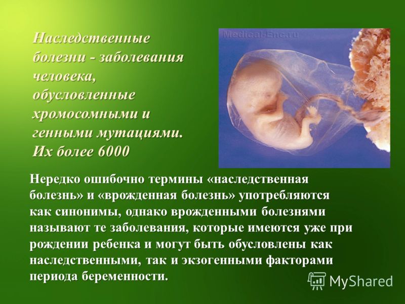 Г Н Берман Решебник Ответы