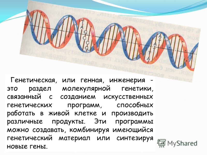 геноинженерия доклад