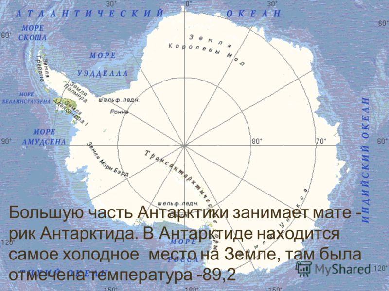 и пустыня доклад человек 4 класса