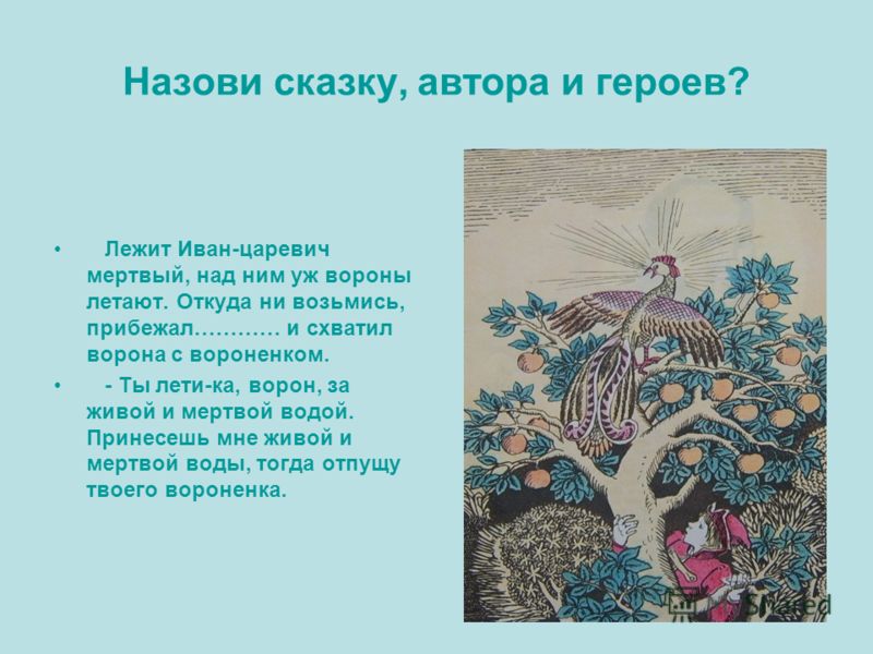 Мертвый и живой цветок Мертвый и живой цветок
