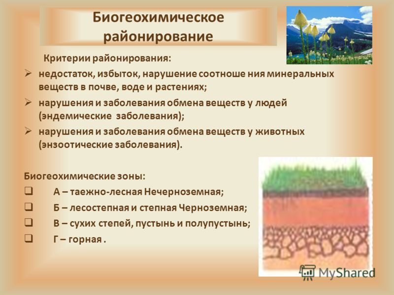 Седалищный нерв боль в икре ноги