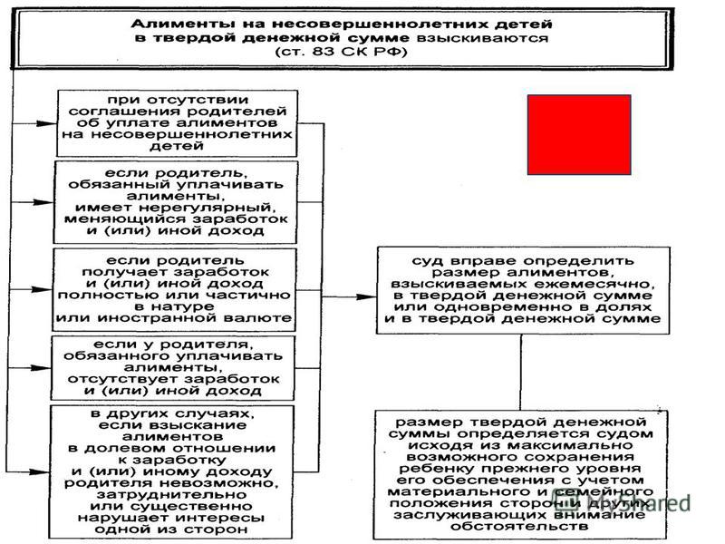 страшно взыскание алиментов при отсутствии дохода овладеет