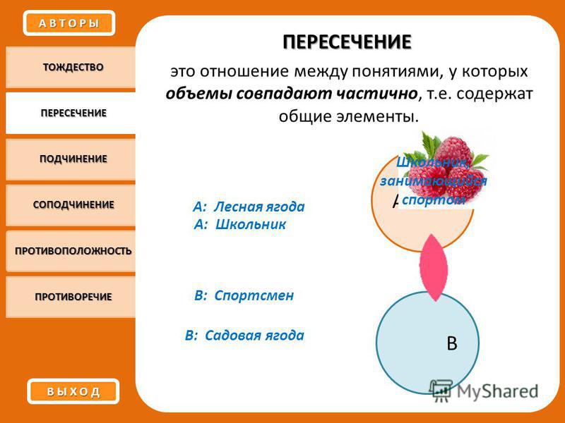 Отношения между понятиями пересечение примеры