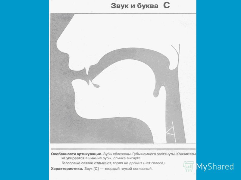 Артикуляционные профили звуков в картинках
