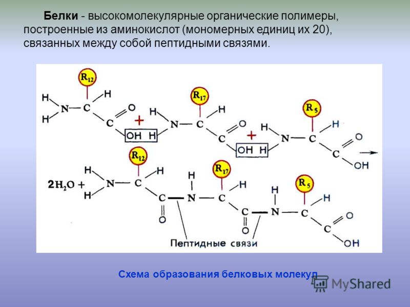 Копирайтинг понятие 2 строение 3 состав Копирайтинг понятие 2 строение 3 состав