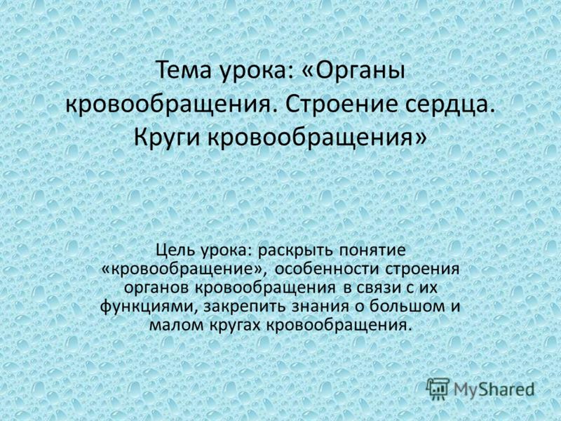 Кровообращение Презентация 8 Класс Кровообращение Презентация 8 Класс