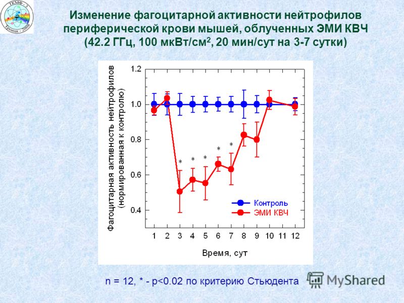 Изменение фагоцитарной активности нейтрофилов периферической крови мышей, облученных ЭМИ КВЧ (42.2 ГГц, 100 мкВт/см 2, 20 мин/сут на 3-7 сутки) n = 12