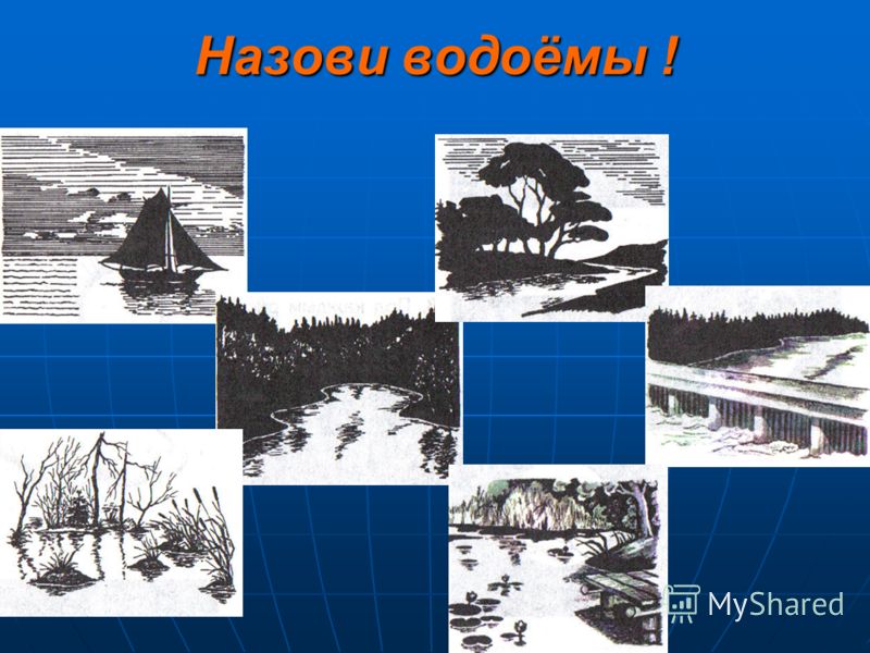 Презентация экскурсия в природу для начальной школы