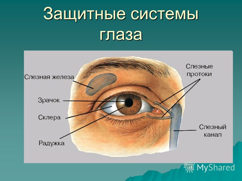 Увеличение вилочковой железы у детей симптомы и лечение