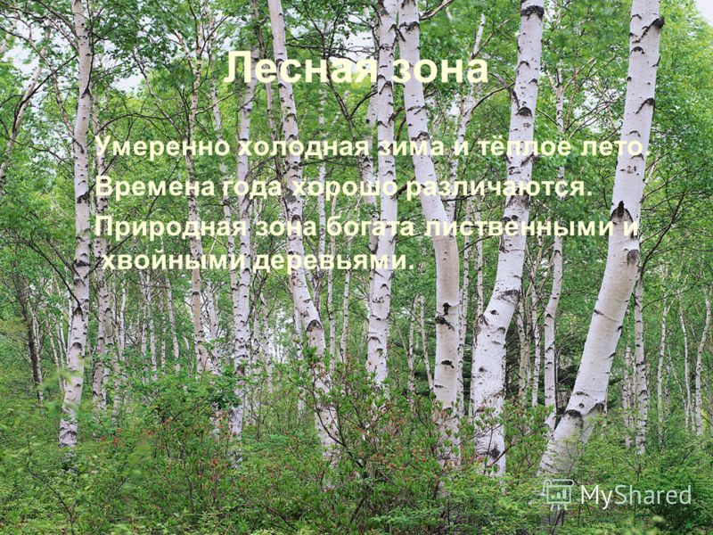 Лесная зона Умеренно холодная зима и тёплое лето. Времена года хорошо различаются. Природная зона богата лиственными и хвойными деревьями.