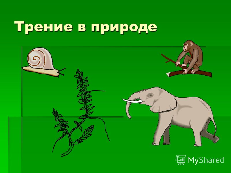 Гдз 7 класс макарычев