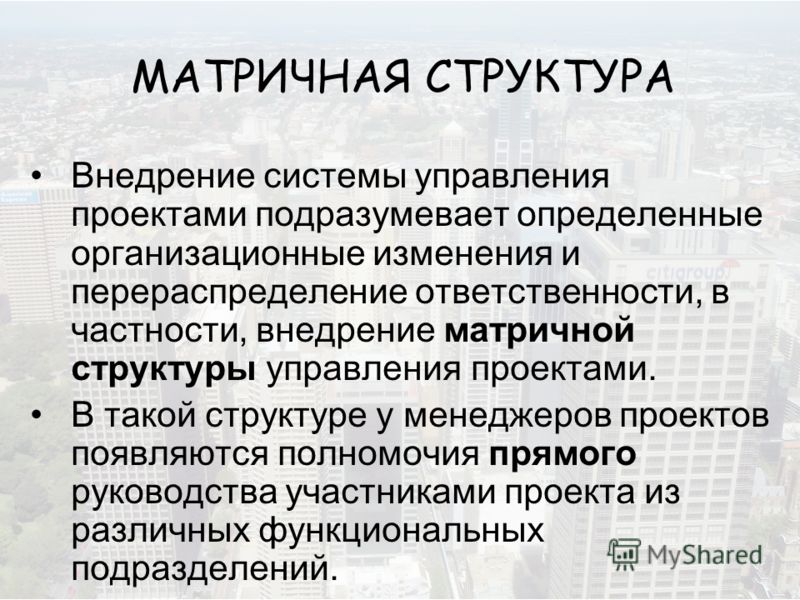 Структура Руководства Проектной Организации Структура Руководства Проектной Организации
