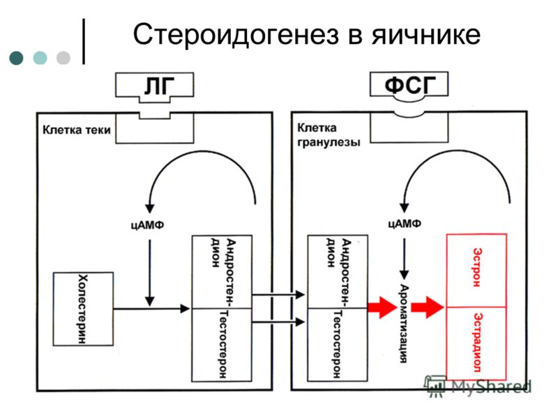 Остеохондроз пояснично крестцового отдела позвоночника и Особенности проявлений и последствия кровоизлияния в мозг у новорожденных