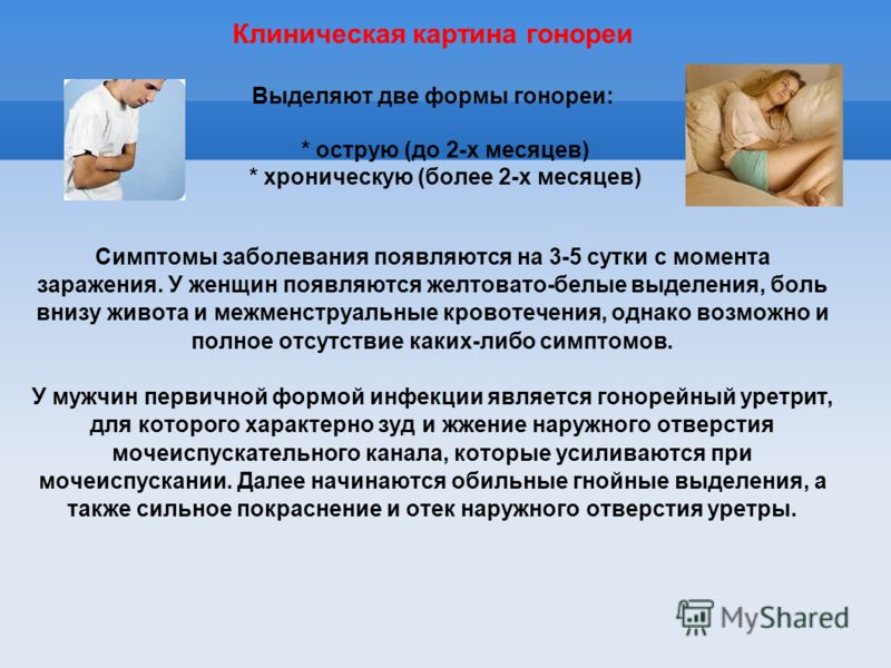 Заболевание передающееся через кожу Заболевание передающееся через кожу