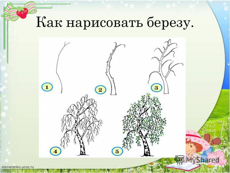 Как рисовать береза поэтапно Как рисовать береза поэтапно