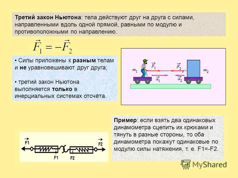 Мощный член с легкостью потянул сразу двух квартиранток