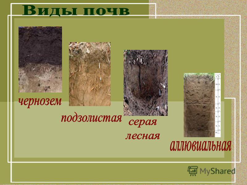 Как сделать чернозем