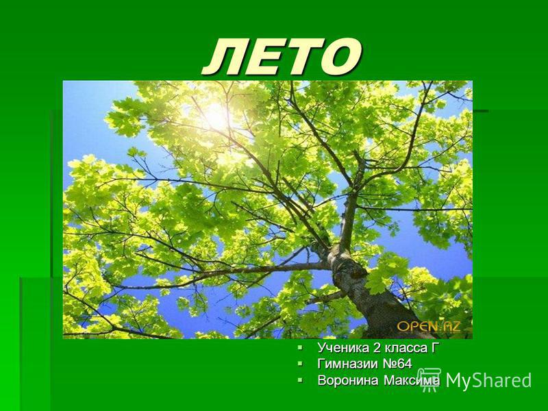 скачать презентацию на тему лето