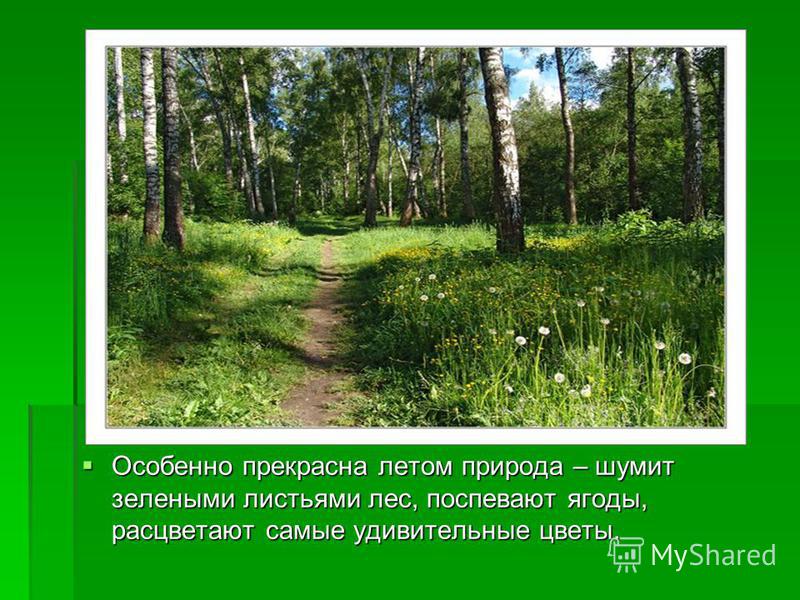 Красивая Презентация Про Природу